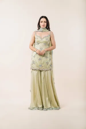 Light Olive Green Tulle Shirt Garara Set