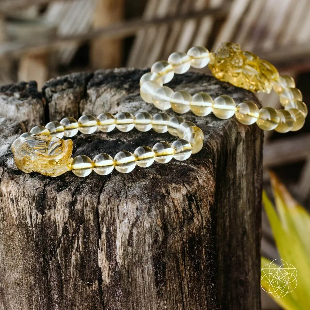 The Pi Yao Citrine Bracelet of Wealth