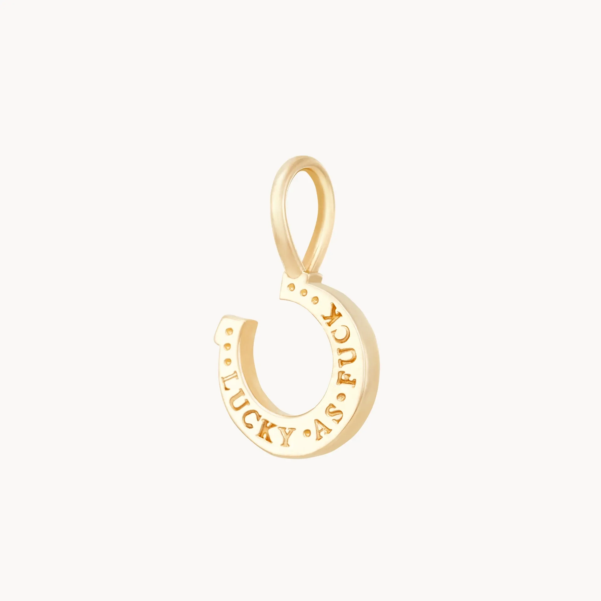 wild luck horseshoe charm - 10k yellow gold, diamond