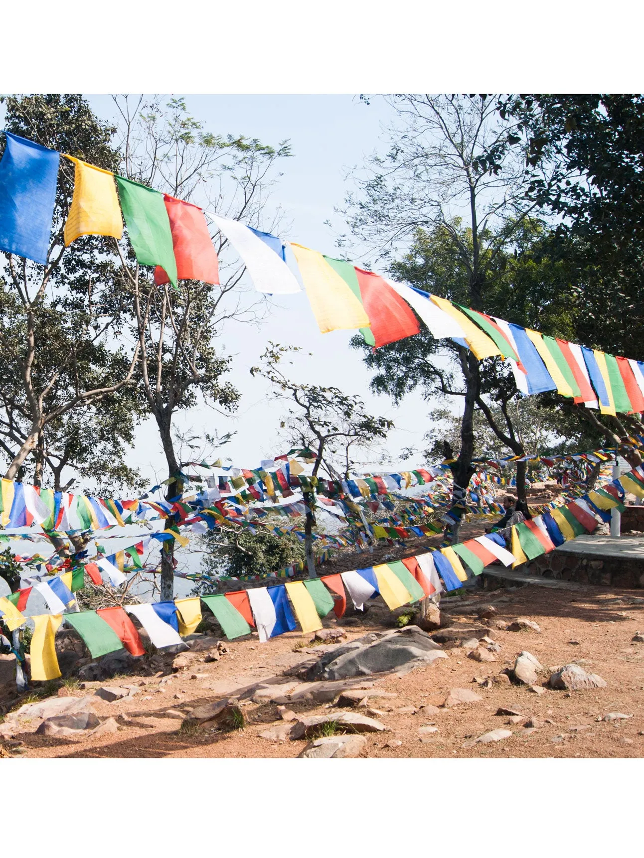 World Peace Prayer Flags